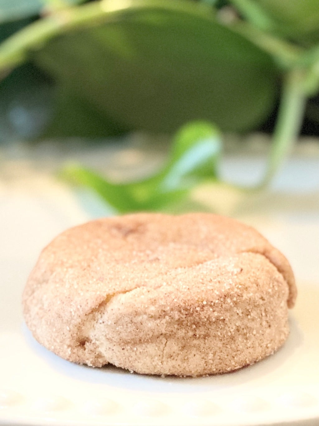 Snickerdoodle Soft-Baked to Order Cookie fresh baked cookies custom cookies